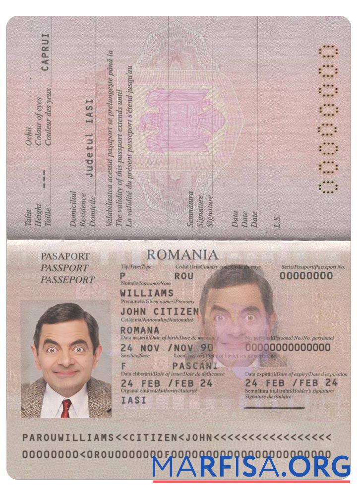 Printable Romania pass 2013 present example